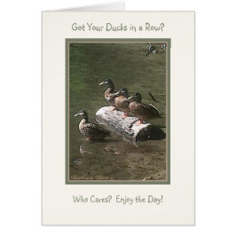 ¿Consiguió sus patos en una fila?