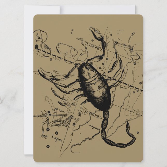 Constanza Scorpio Hevelius 1690 Decor (Anverso)