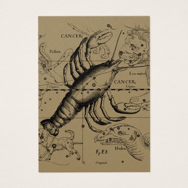 Constelación de Cáncer Hevelius 1690 Junio 21-Juli (Frente)