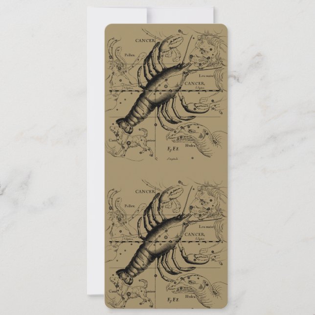 Constelación de Cáncer Hevelius 1690 Junio 21-Juli (Anverso)