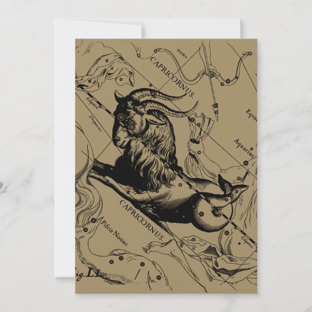 Constelación de Capricornio Hevelius 1690 en Taupe (Anverso)