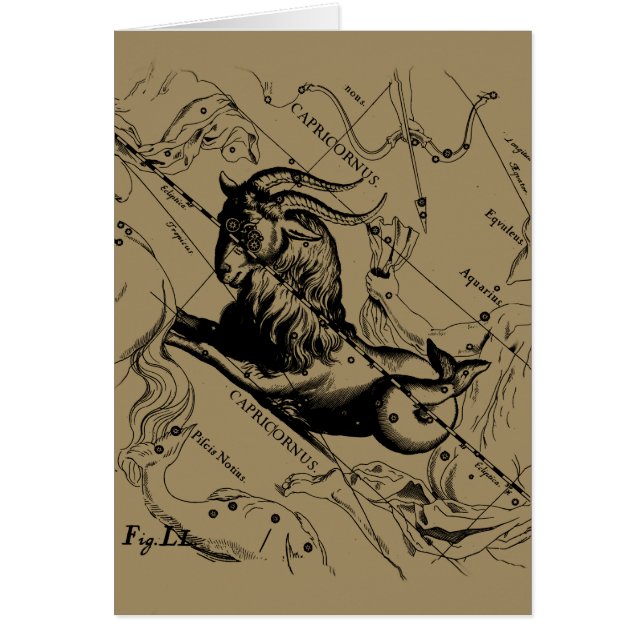 Constelación de Capricornio Hevelius 1690 en Taupe (Frente)