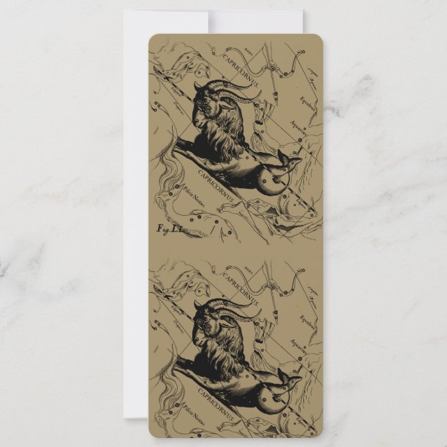 Constelación de Capricornio Hevelius 1690 en Taupe (Anverso)