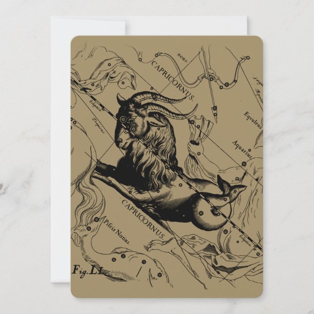 Constelación de Capricornio Hevelius 1690 en Taupe (Anverso)