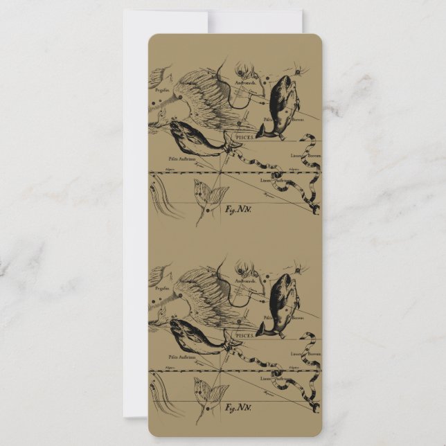 Constelación de Pisces Hevelius 1690 Feb19 - Marzo (Anverso)