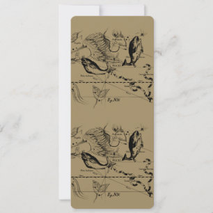 Constelación de Pisces Hevelius 1690 Feb19 - Marzo