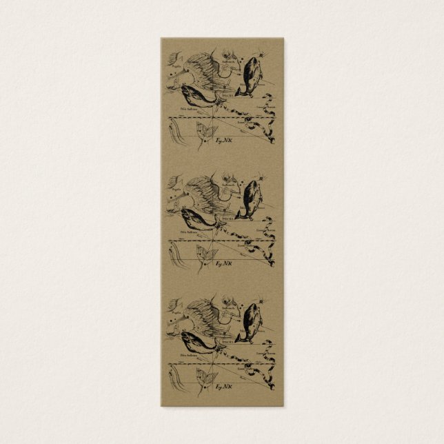 Constelación de Pisces Hevelius 1690 Feb19 - Marzo (Frente)