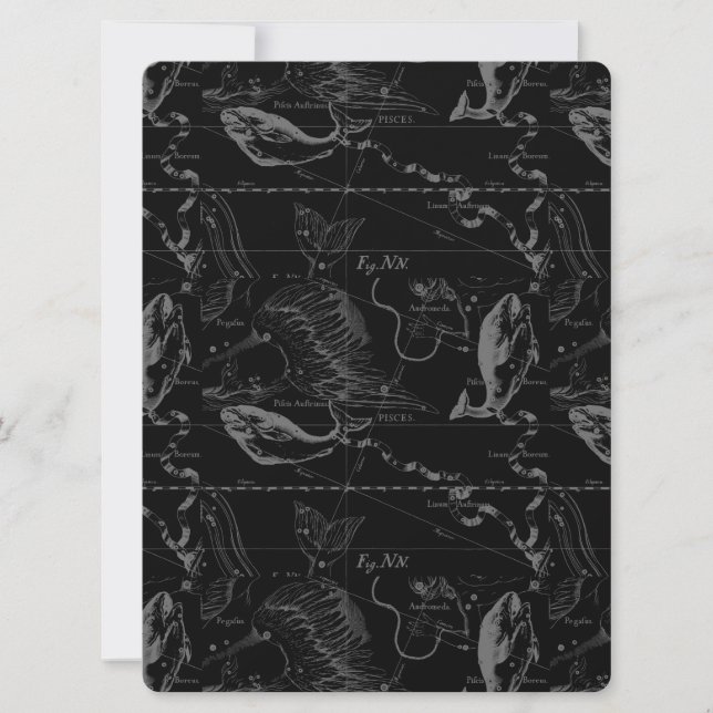 Constelación de Pisces Hevelius 1690 Feb19 - Marzo (Anverso)