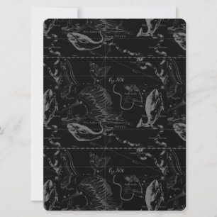 Constelación de Pisces Hevelius 1690 Feb19 - Marzo