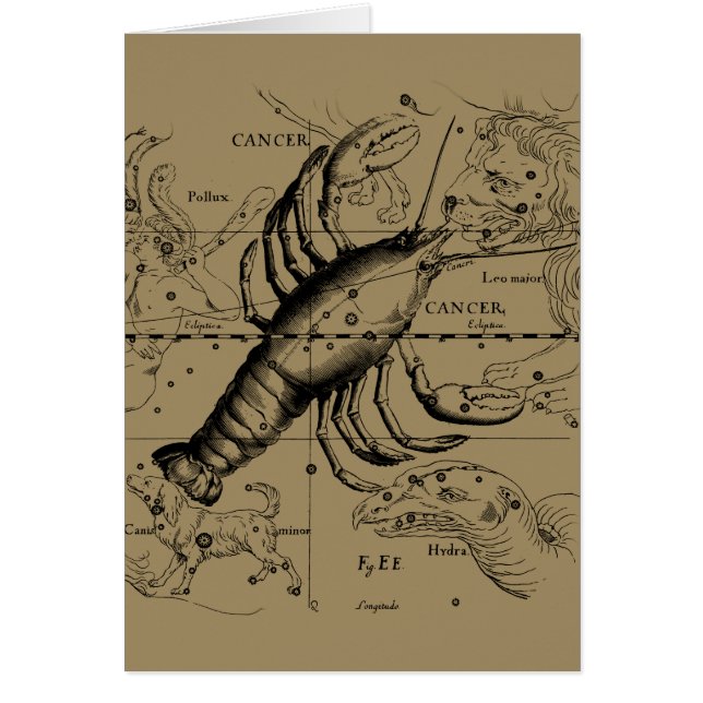 Constelación de Zodiaco contra el Cáncer por Hevel (Frente)