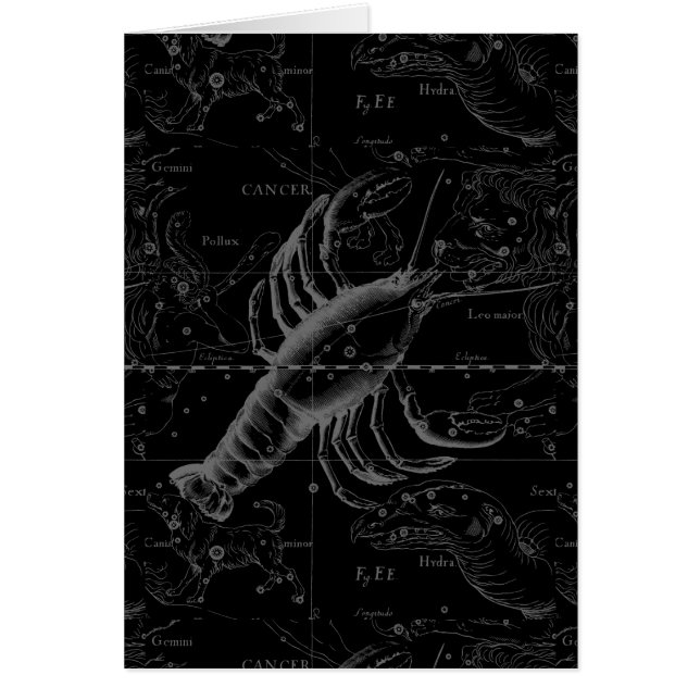 Constelación del cáncer Hevelius 1690 en negro (Frente)