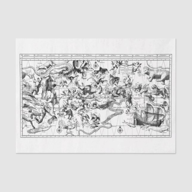 Constelaciones de zodiaco Papel blanco negro (Anverso)