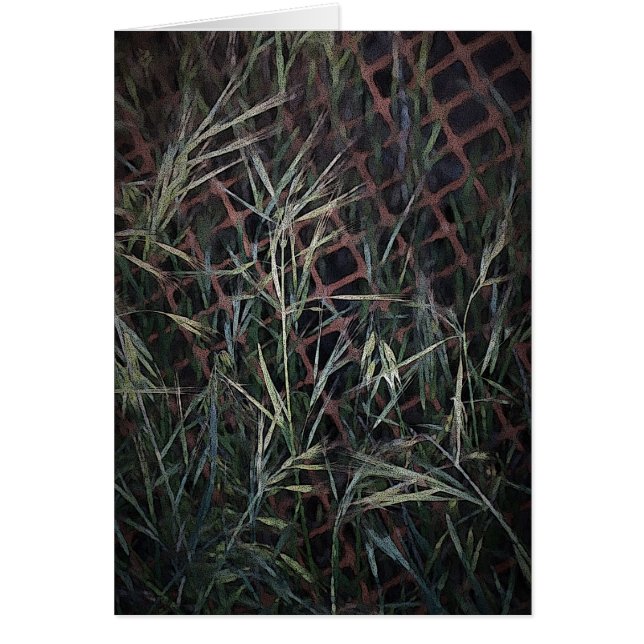 Construcción (Frente)