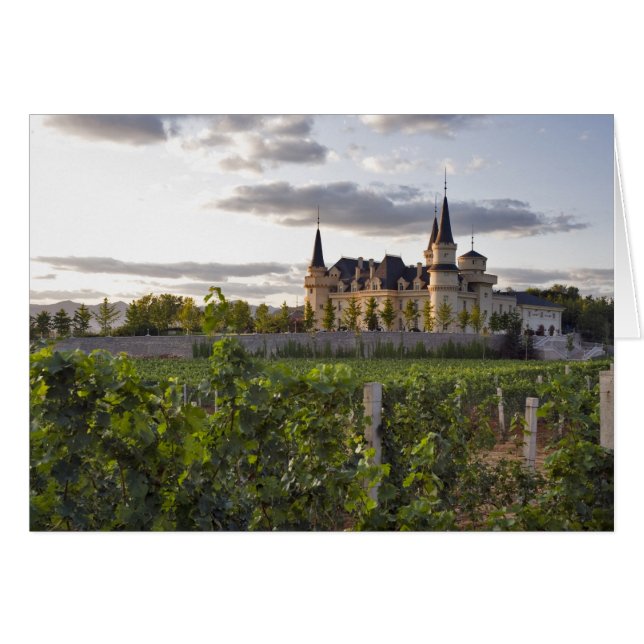 Construcción de bodega vista desde el viñedo de (Anverso (Horizontal))