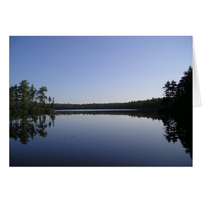 Contemplación necesaria (Anverso (Horizontal))