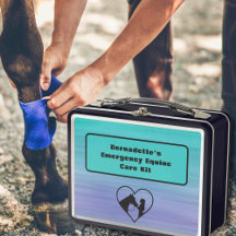 Contenedor de emergencia del Equine de primeros au
