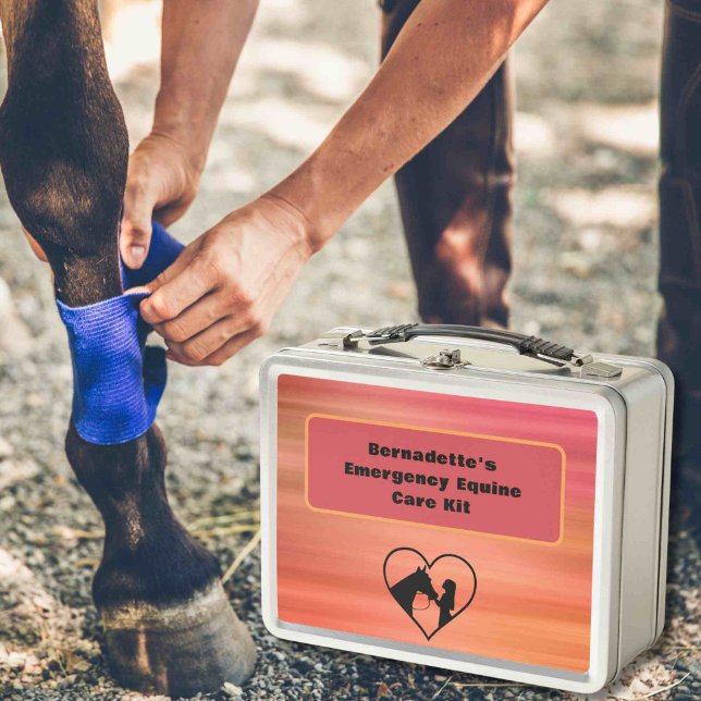 Contenedor de emergencia del Equine de primeros au (Subido por el creador)