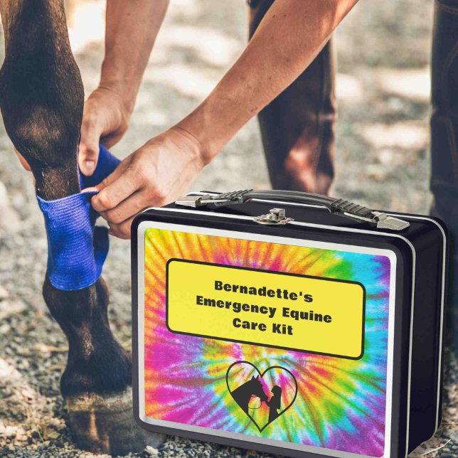 Contenedor de emergencia del Equine de primeros au (Subido por el creador)