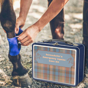 Contenedor de emergencia del Equine de primeros au