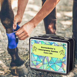 Contenedor de emergencia del Equine de primeros au