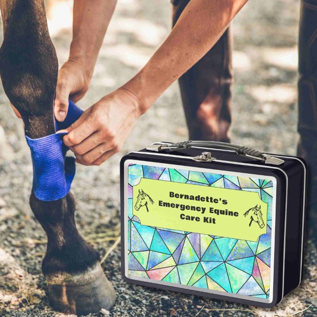 Contenedor de emergencia del Equine de primeros au (Subido por el creador)