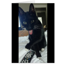 control remoto para gato de pollo