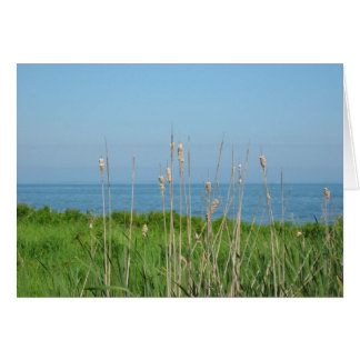 Conversaciones por el mar