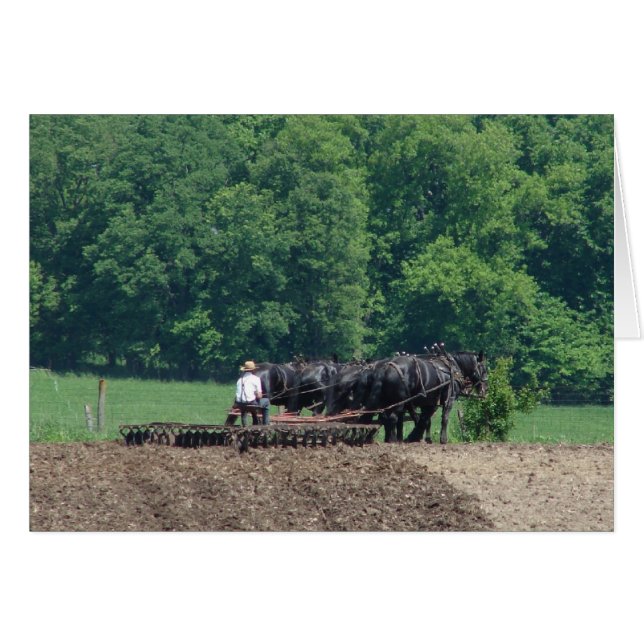 Convirtiendo un equipo de seis caballos (Anverso (Horizontal))