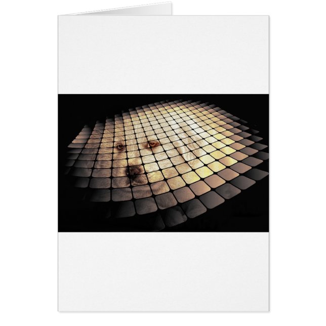 Cool Dog Digital Art (Frente)