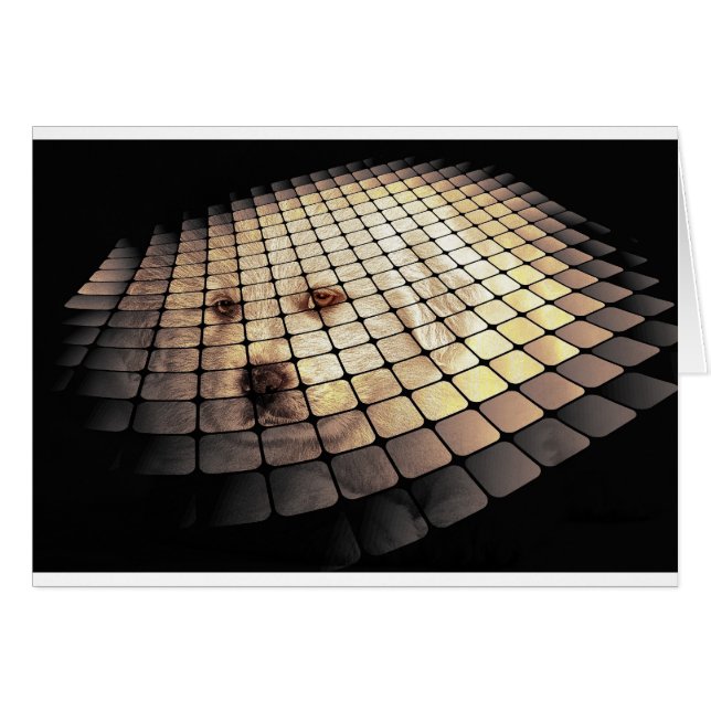 Cool Dog Digital Art (Anverso (Horizontal))