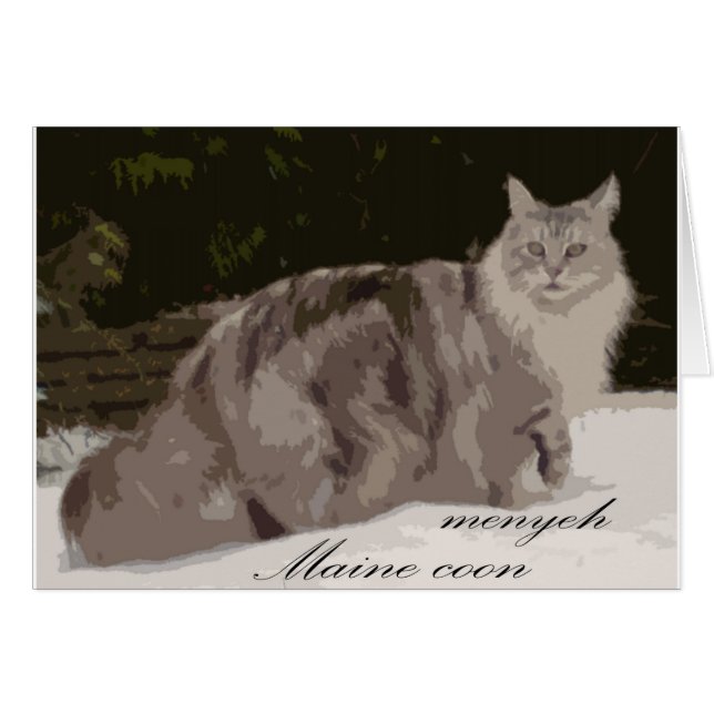 coon de Maine (Anverso (Horizontal))