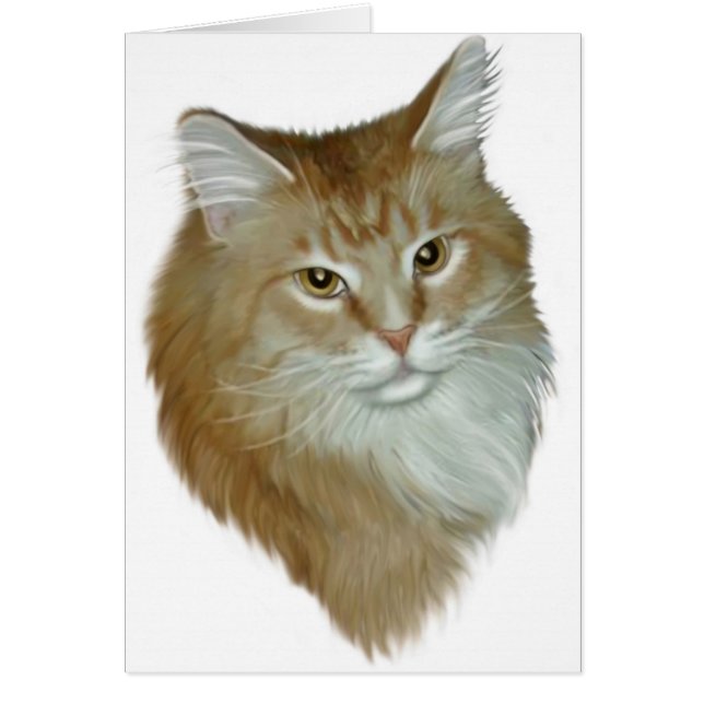 Coon rojo de Maine del Tabby (Frente)