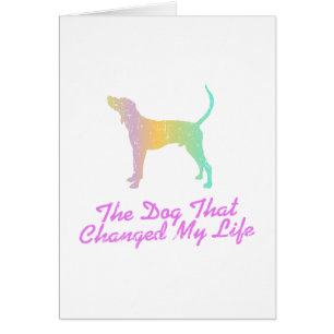 Coonhound del caminante de Treeing