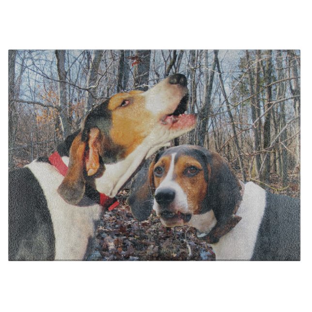 Coonhounds del caminante de Treeing en la tabla de (Anverso)