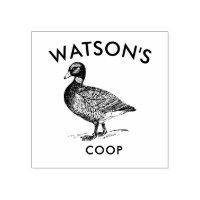 Coop familiar | Sello de huevo de pato