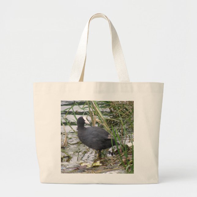 Coot en la bolsa de Riverbank (Frente)
