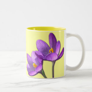Copa Crocus Flower Cup Primavera Flores