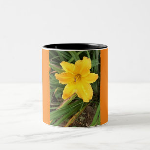 Copa Day Lilly