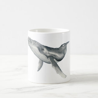 Copa de ballenas de color acuático