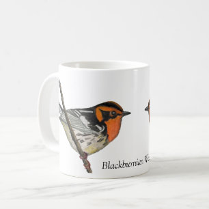 Copa de Café Blanco de la Guerra de Blackburnian