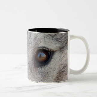 Copa de café Wolf Mug Guay Tazas de perro salvajes