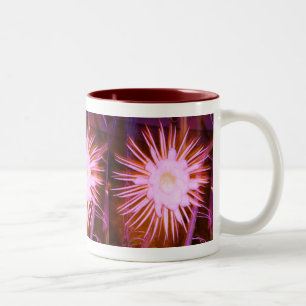 Copa de Flor de Cactus Rosados