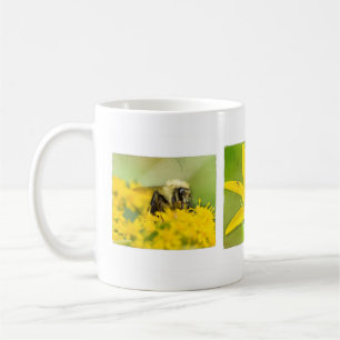 Copa de Fútbol de Insectos y Flores Silvestres