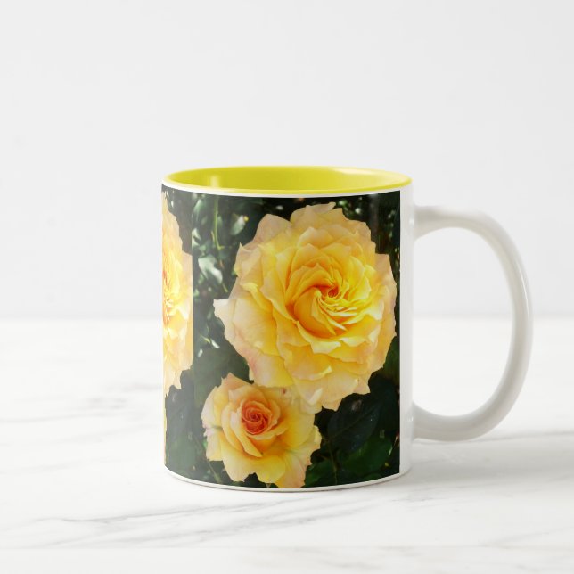 Copa de Rosas Amarillas (Derecha)