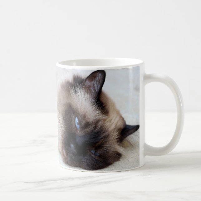 Copa de tazas de café para Mascota de gato siamés (Derecha)