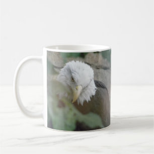 Copa de Té de Té de Ave Calva