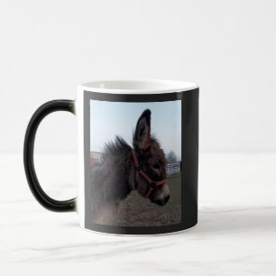 Copa Donkey Mug