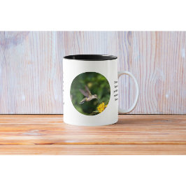 Copa Hummingbird