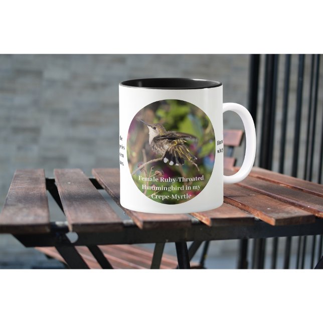 Copa Hummingbird (Subido por el creador)