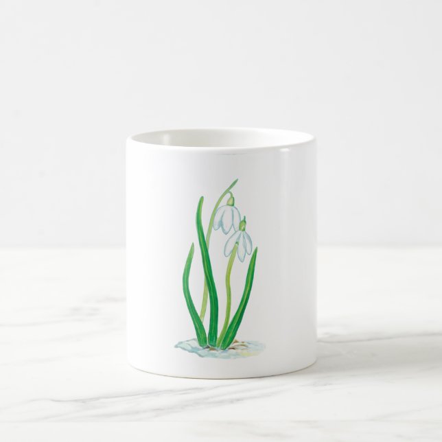 Copas de nieve (Galanthus nivalis) (Centro)